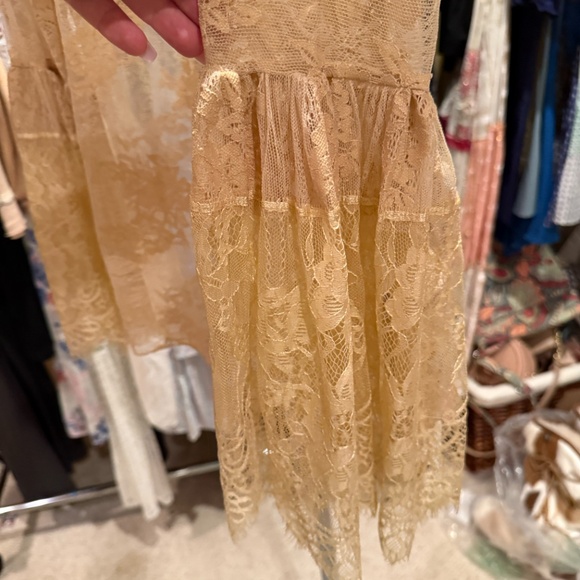 Jaded Gypsy- sheer Garden Tea Lace Top ***has a few small holes*** - Picture 3 of 4